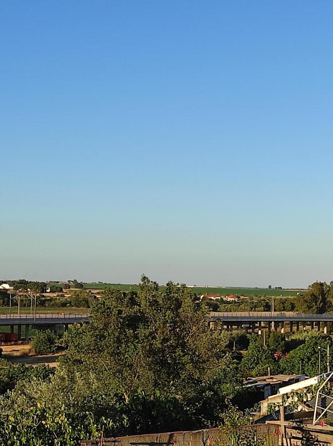 Vila Mansao Alentejana Al Alvalade Exteriér fotografie
